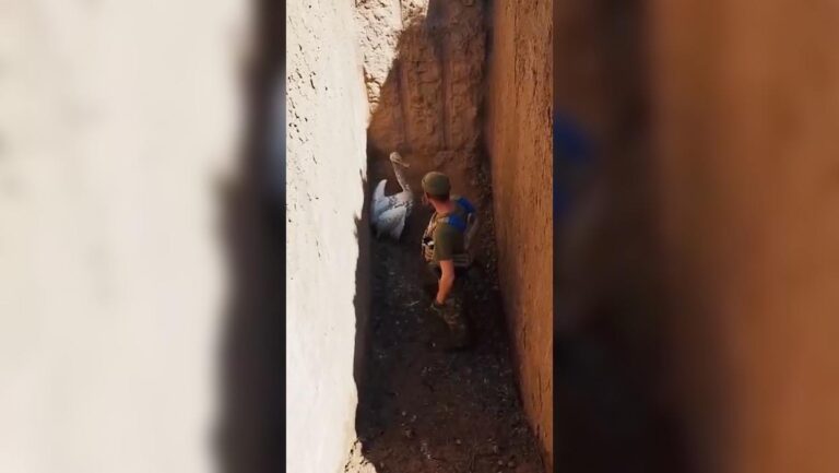 На Херсонщині прикордонники врятували лебедя, що потрапив у траншею (ФОТО)