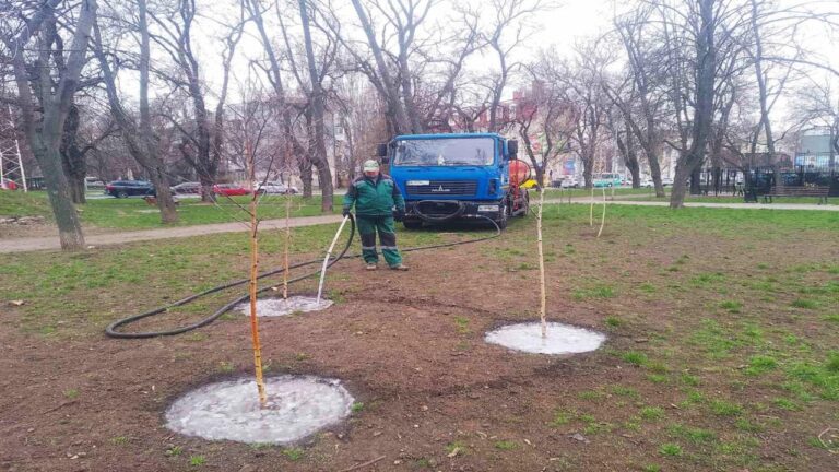 В Одесі у квітні побільшало зелених насаджень