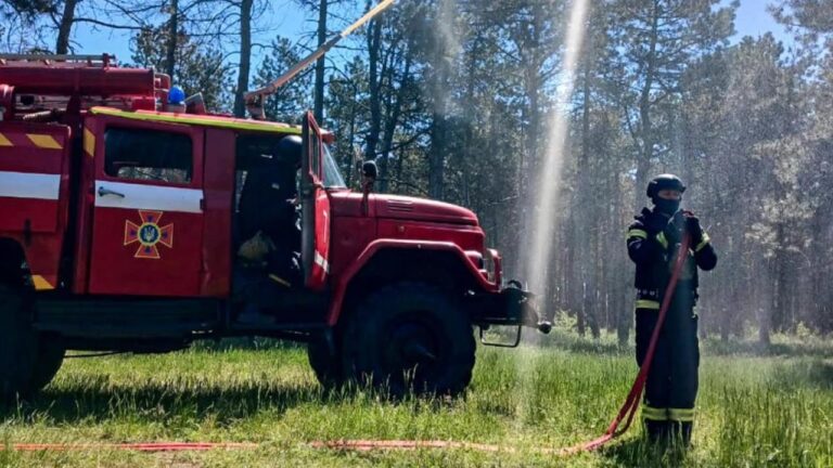 Ліквідація лісової пожежі в бойових умовах: комплексне тренування на Херсонщині