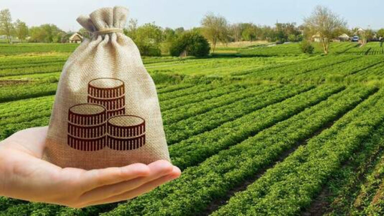 У громади Херсонщини надійшло понад 14 млн грн земельних платежів