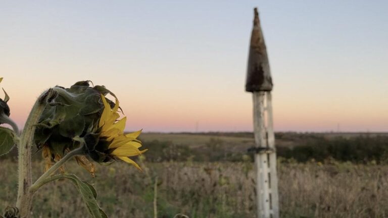 Аграрії на ТОТ скаржаться на проблеми з кредитуванням: що кажуть