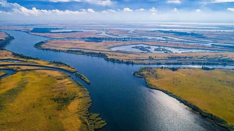 У Нижньодністровського нацпарку в Одеській області кадрові зміни