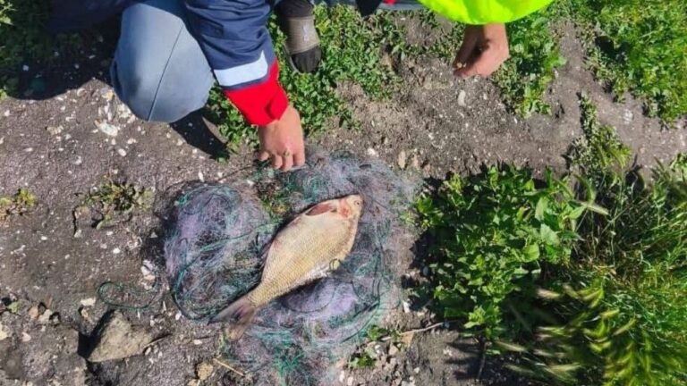 На Херсонщині виявили порушників рибальства
