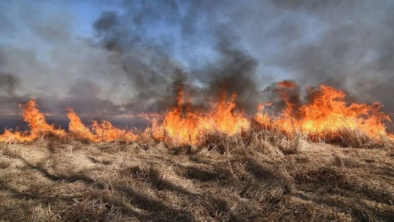 Підпалюють поля з дронів та полюють на рятувальників: нова “тактика” росіян на Херсонському напрямку