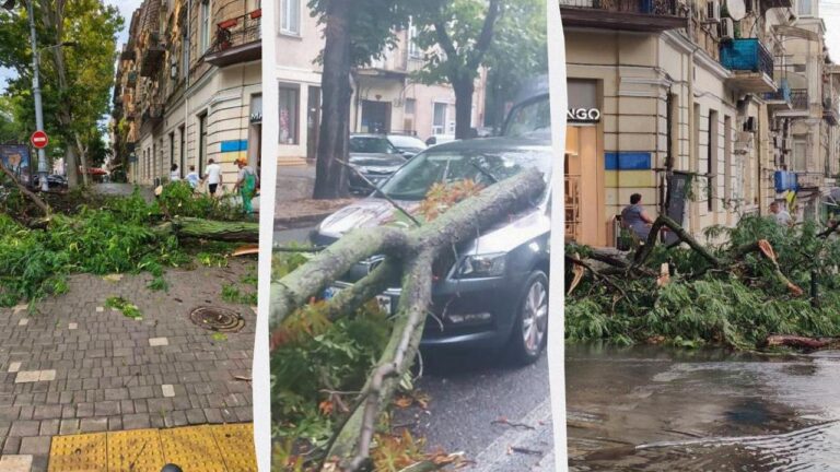 В Одесі негода повалила десятки дерев і гілок