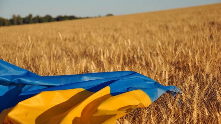 З окупованої Херсонщини повернули трьох українців