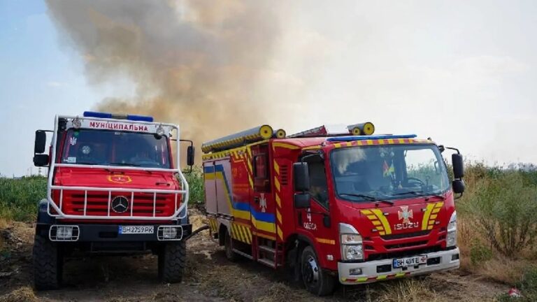 Масштабна пожежа на Пересипу в Одесі: палало 12 га