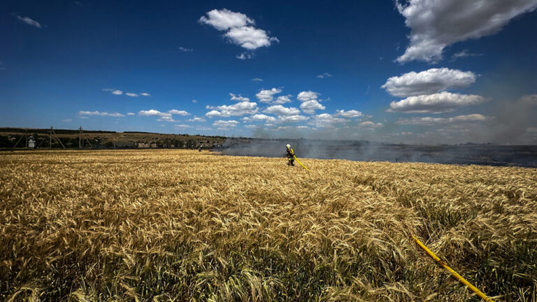 У Миколаївській області цього року згоріло понад 760 га полів під час збирання врожаю