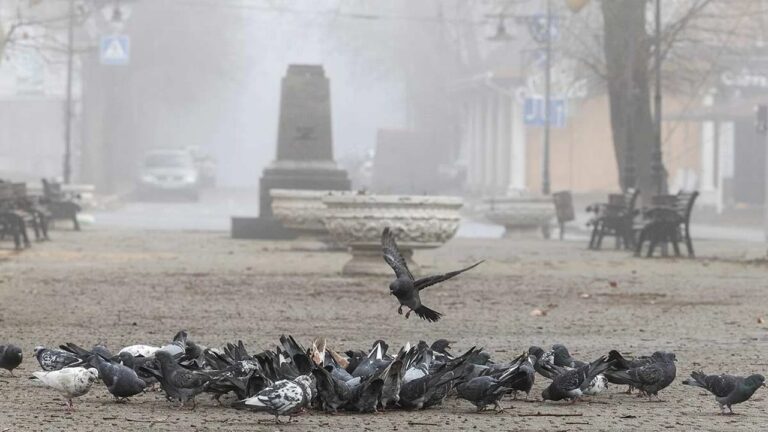 У Херсоні зафіксували перевищення рівня забруднення повітря