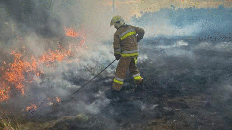 На Миколаївщині за дві доби ліквідували 33 пожежі