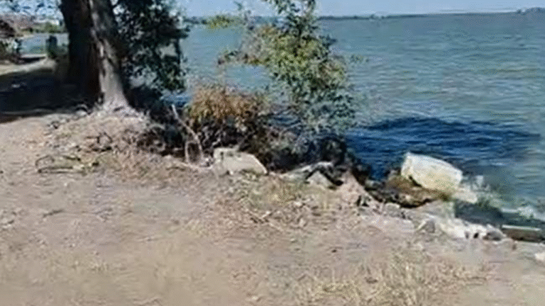 Уламки зруйнованого ліцею в Білгороді-Дністровському прибрали з узбережжя