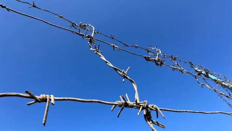 Зникнення підприємця Ігоря Паламарчука: нові деталі та обставини
