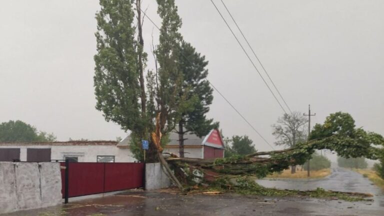 Пошкоджені будинки та електромережі: наслідки буревію на Херсонщині