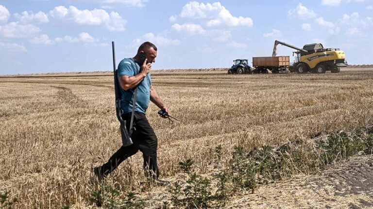Спека, дрони та мобілізація: аграрний сектор Херсонщини зазнає непоправних втрат