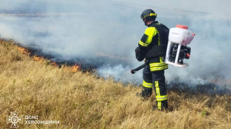 Пожежі на Херсонщині знищили понад 400 га екосистем з початку року