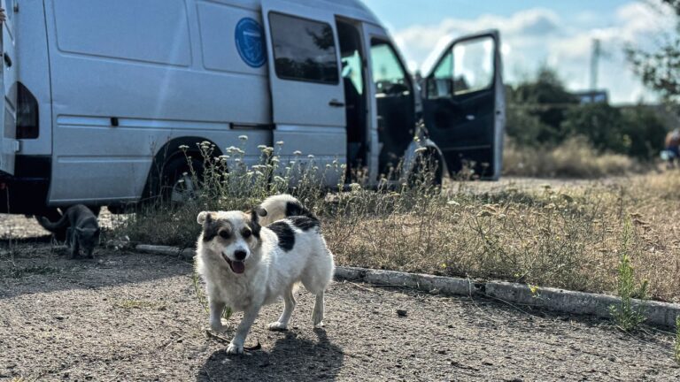 У прифронтовому Оріхові на Запоріжжі FPV-дрон атакував автівку гуманітарної місії