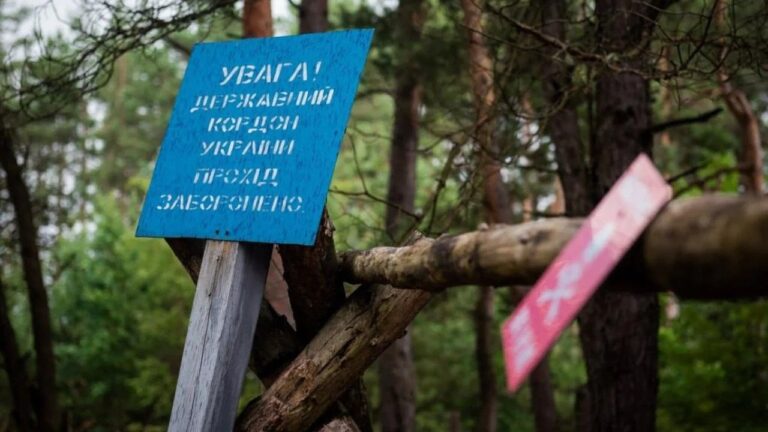 Свириденко ініціює кримінальну відповідальність за незаконний виїзд за кордон під час війни