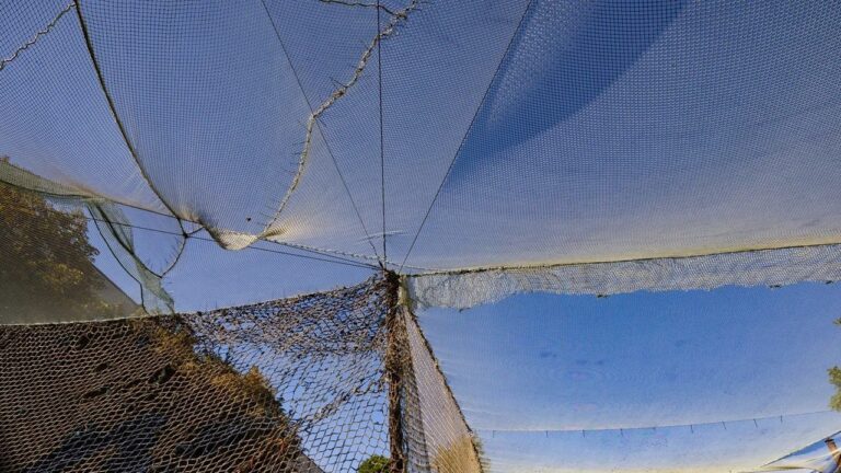 Влада Херсонщини оголосила вартість антидронових сіток