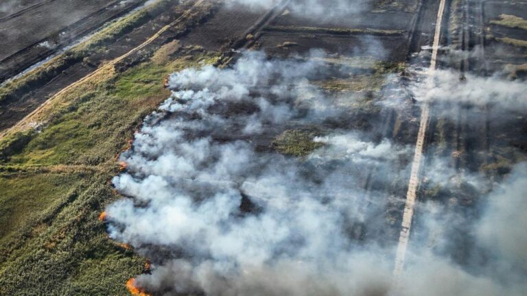 Пожежа на Хаджибейській дорозі спричинила значні викиди шкідливих речовин
