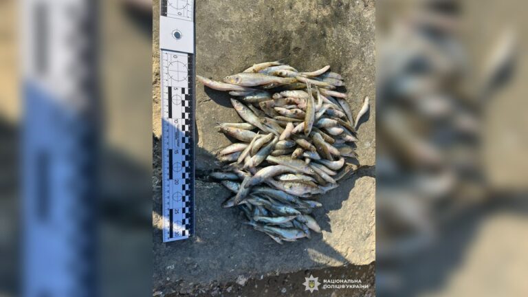 У Миколаївському районі викрили рибалку на незаконному вилові біоресурсів