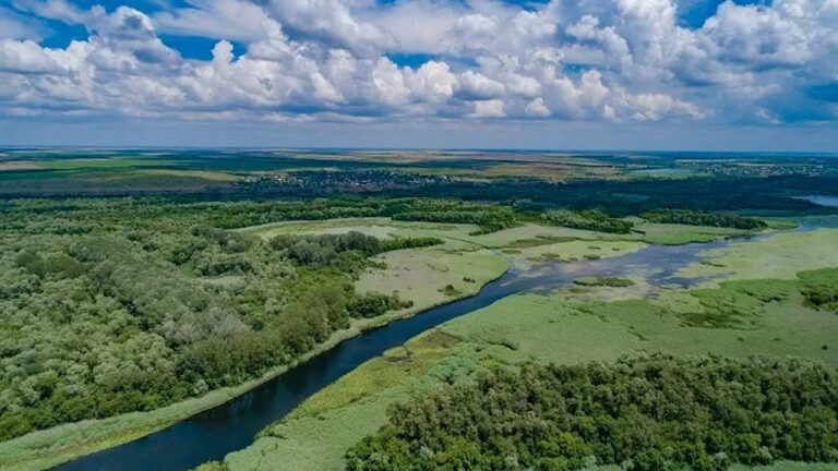 На Херсонському напрямку за тиждень відбито 31 штурм ворога