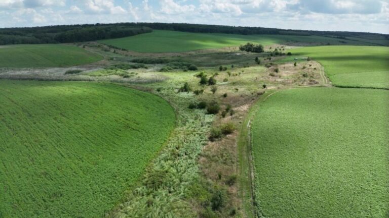Південним регіонам України загрожує втрата малих річок
