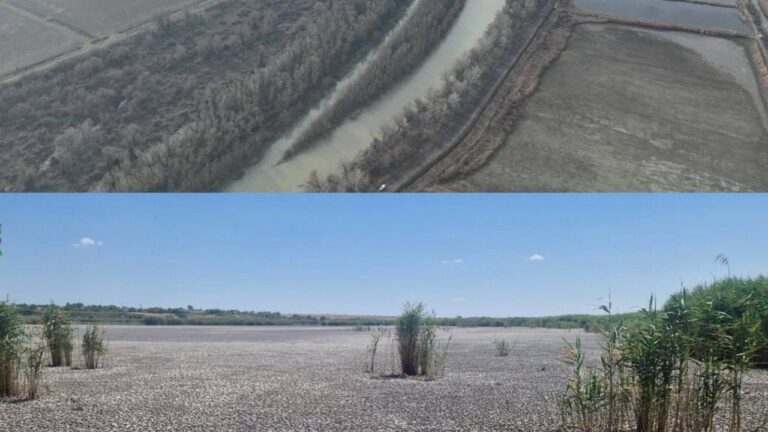 Загроза Придунайським озерам на півдні Одещини