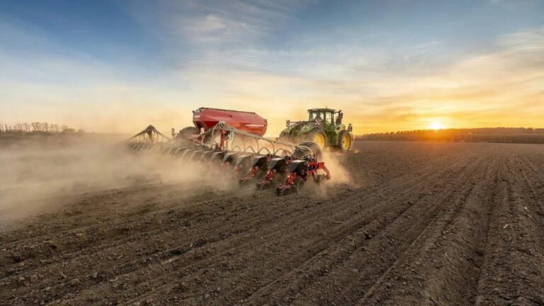 Внаслідок посухи осіння посівна на Херсонщині може не відбутися