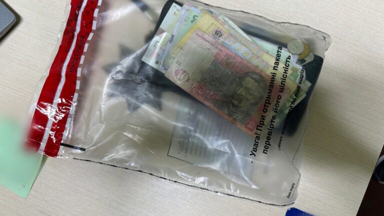 У Первомайську затримали чоловіка за крадіжку гаманця з дитсадка