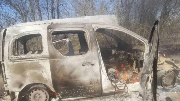 Російський дрон атакував працівників парку “Кам’янська Січ” на Херсонщині