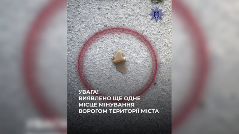 У Херсоні вдруге за день виявили мінування території “пелюстками”