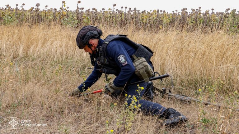 На Херсонщині триває розмінування територій