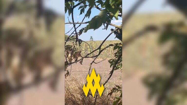 Партизан “АТЕШ” допоміг вивести з ладу комплекс “Панцир-С1” на Херсонщині