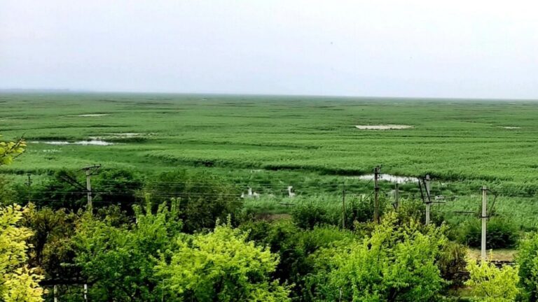 На місці Каховського водосховища відновлюється природа