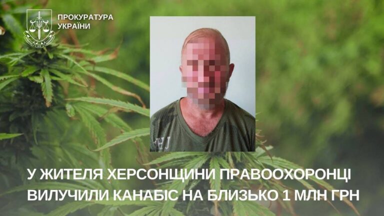 На Херсонщині викрили чоловіка на вирощуванні та збуті наркотиків