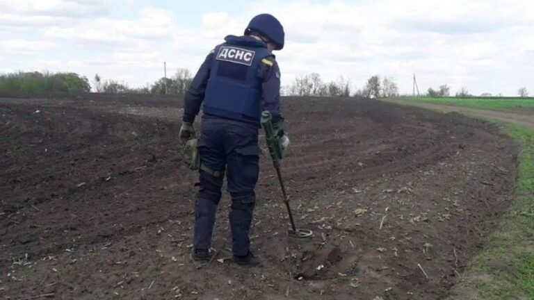 Фізичні особи зможуть отримати компенсацію за гуманітарне розмінування земель
