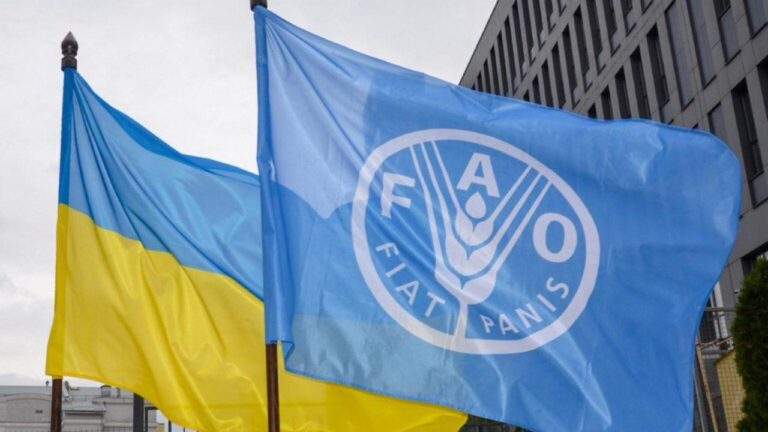 Херсонські аграрії отримають зерносховища від міжнародних донорів
