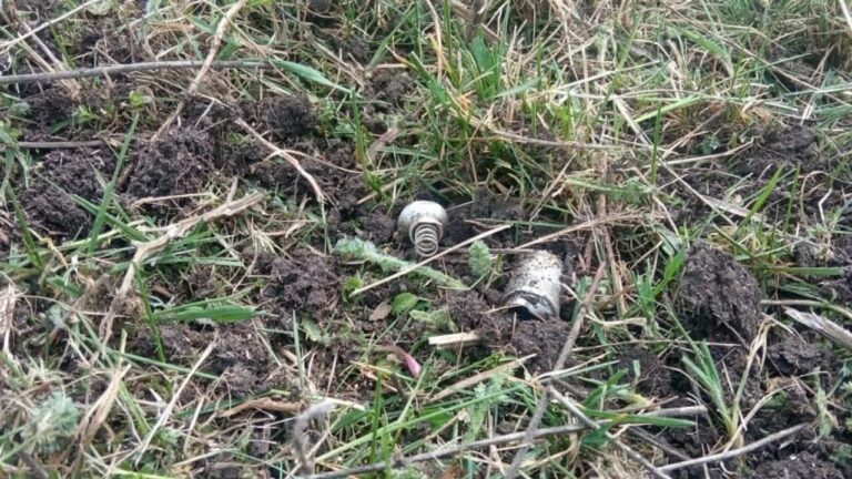 На Одещині двоє підлітків постраждали від вибуху невідомого предмету