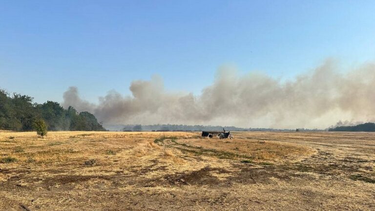 На окупованому лівобережжі Херсонщини згоріли тисячі гектарів лісу