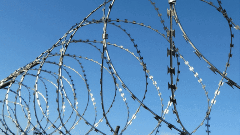 На Херсонщині засудили екскерівницю палацу творчості за співпрацю з окупантами