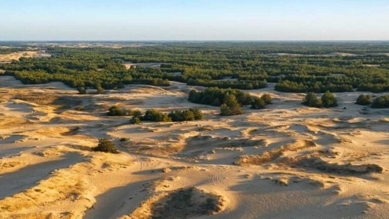 Херсонщина опинилася на межі екологічної катастрофи