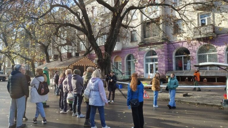 У Миколаєві провели майстер-клас з обрізання дерев для комунальників