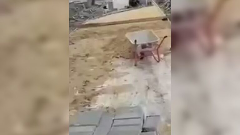 У Миколаєві замість газону біля зоопарку укладають сіру плитку