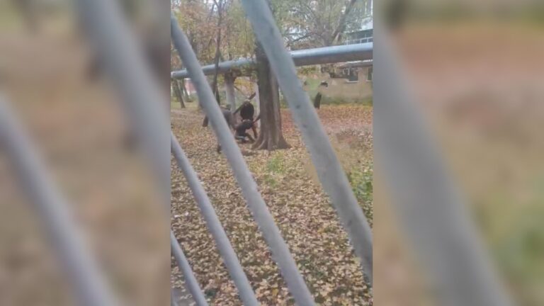 В Одесі зафіксували черговий випадок силової мобілізації