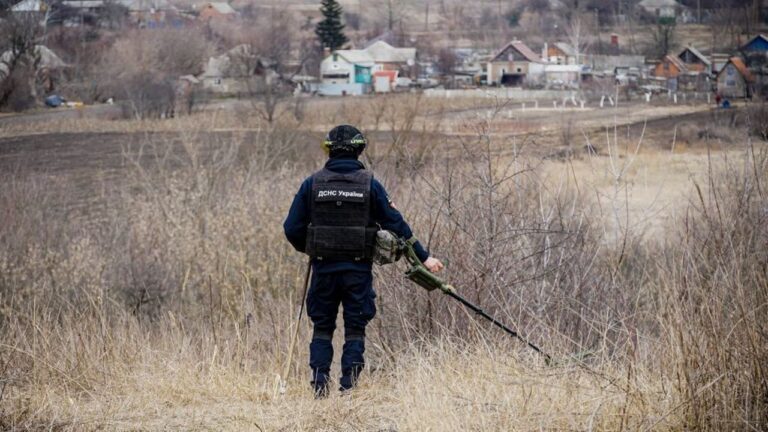 У Запорізькій області сапери ДСНС знешкодили небезпечні боєприпаси після обстрілів