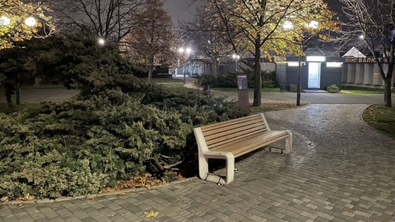 У центрі Миколаєва демонтували дизайнерську лавку