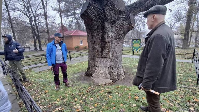 Тренінг у Миколаєві зосередив увагу на догляді та захисті міських дерев