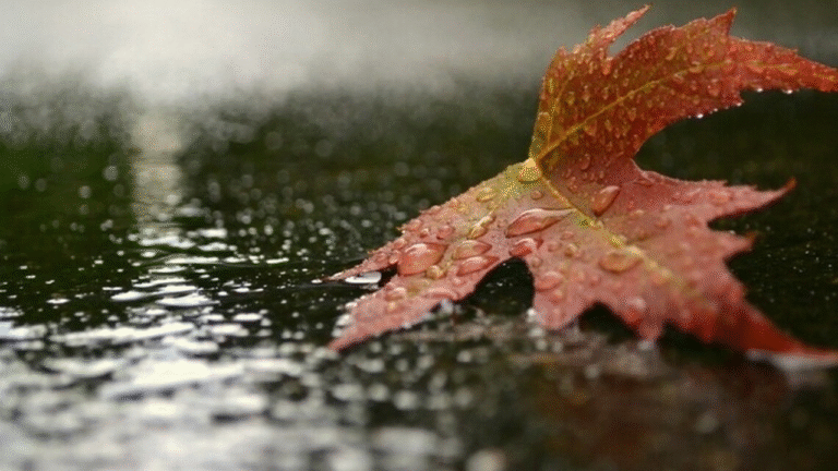 На Миколаївщині очікується гроза: оголошено жовтий рівень небезпеки