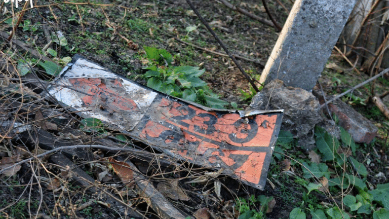 Українські військові відбили атаку на острові Великий Вільховий