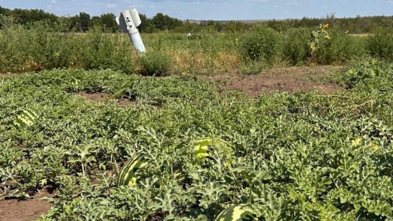 Господарство с Херсонщини першим в Україні отримало компенсацію за розмінування аграрних земель